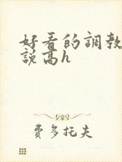 好看的调教文小说高h