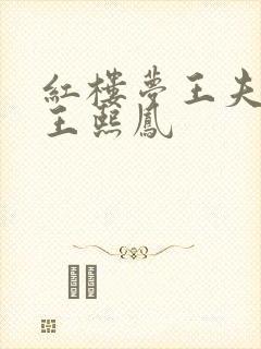 红楼梦王夫人和王熙凤