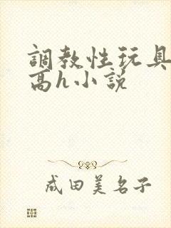 调教性玩具np高h小说