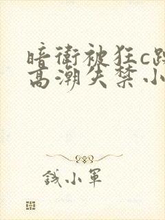 暗卫被狂c躁到高潮失禁小说