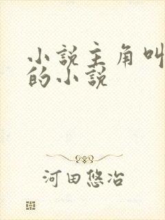 小说主角叫林浩的小说