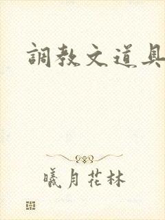 调教文道具辣文封面