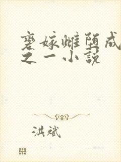 变嫁雌堕成后宫之一小说