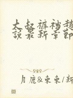 大叔裤裆赵明小说最新章节更新内容封面