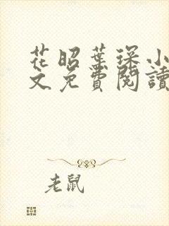 花昭叶琛小说全文免费阅读