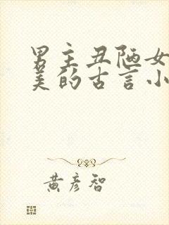 男主丑陋女主貌美的古言小说封面