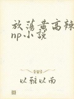 放荡黄高辣h文np小说