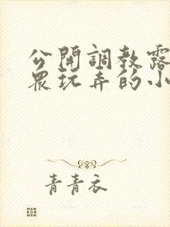 公开调教露出当众玩弄的小说