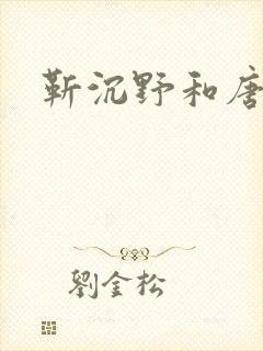靳沉野和唐栖雾封面