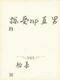 总受np直男苏n封面