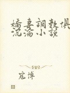 娇妻调教俱乐部沉沦小说封面