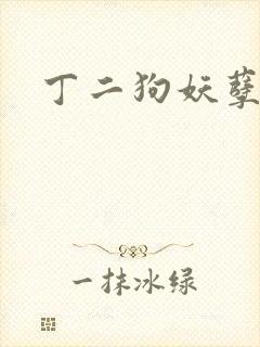 丁二狗妖孽人生