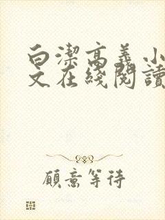 白洁高义小说全文在线阅读封面