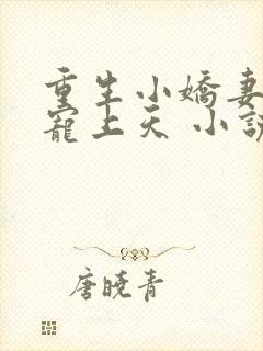 重生小娇妻大佬宠上天 小说封面
