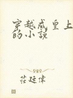 穿越成皇上替身的小说封面