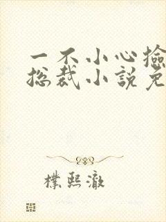 一不小心捡到个总裁小说免费阅读