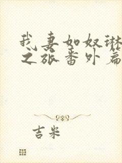 我妻如奴琳的3之旅番外篇大结局封面