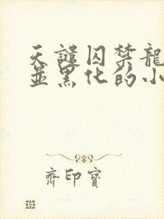 天谴囚禁龙皓晨并黑化的小说