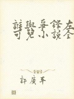 谁与争锋左飞林可儿小说全本txt