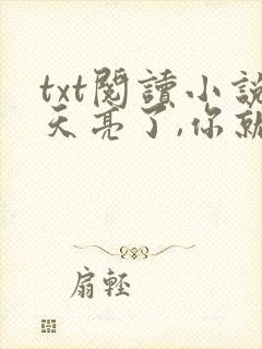txt阅读小说天亮了,你就回来了