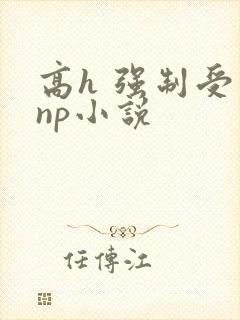 高h 强制受 np小说