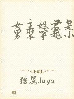 女主姓君是女扮男装穿越小说