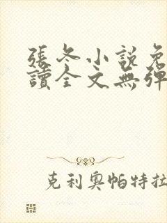 张冬小说免费阅读全文无弹窗封面