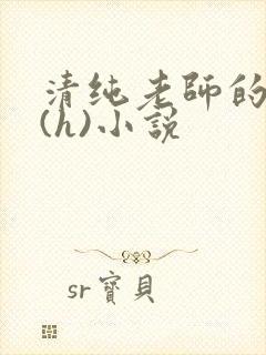 清纯老师的淫辱(h)小说