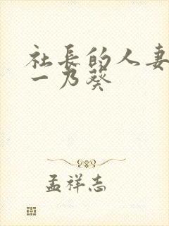 社长的人妻秘书一乃葵封面