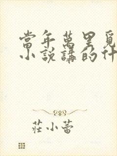 当年万里觅封侯小说讲的什么内容