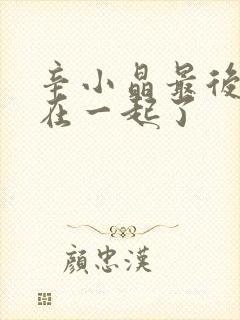 辛小晶最后和谁在一起了