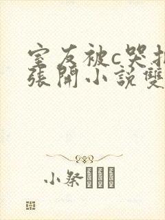 室友被c哭把腿张开小说双男