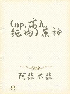 (np,高h,纯肉)原神