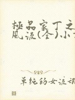 极品家丁之萧氏风流(全)小说