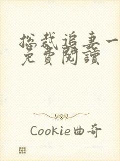 总裁追妻一带二免费阅读