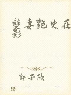 双妻艳史在线电影