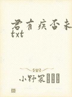 君有疾否未删减txt