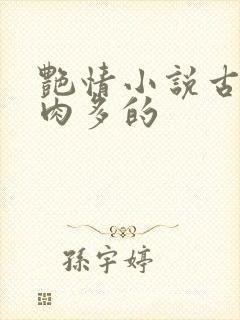 艳情小说古言肉肉多的封面