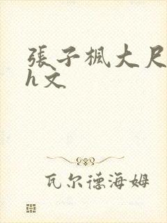 张子枫大尺度肉h文封面