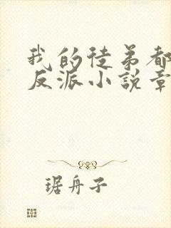 我的徒弟都是大反派小说章节目录封面