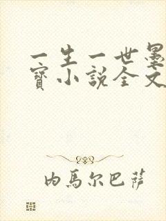 一生一世墨宝非宝小说全文免费阅读