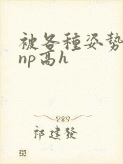 被各种姿势玩弄np高h封面