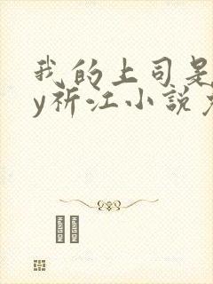 我的上司是网by祈江小说免费阅读