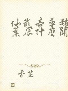 仙武帝尊赵云和叶辰什么关系