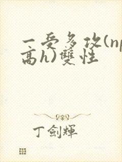 一受多攻(np高h)双性