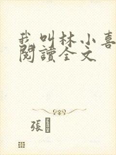 我叫林小喜免费阅读全文
