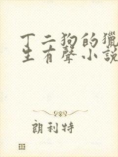 丁二狗的猎艳人生有声小说