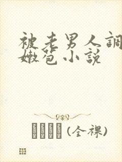 被老男人调教开嫩苞小说