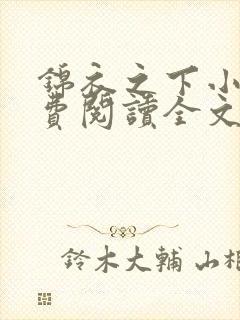 锦衣之下小说免费阅读全文无删减