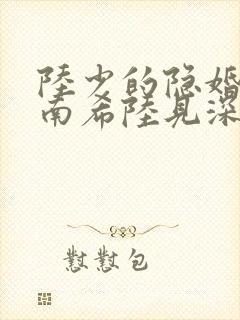 陆少的隐婚罪妻南希陆见深